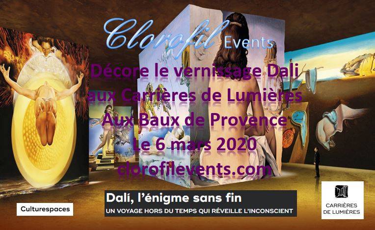 location de plantes pour inauguration et exposition aux Baux de Provence