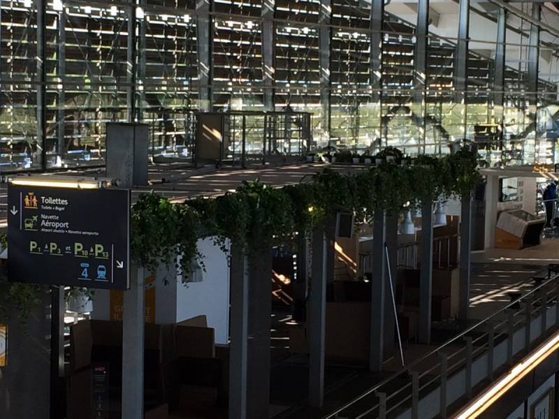 Plantes en suspensions naturelles et ou artificielles pour décoration de bureaux et espace de détente. Décoration de la gare TGV Aix en Provence