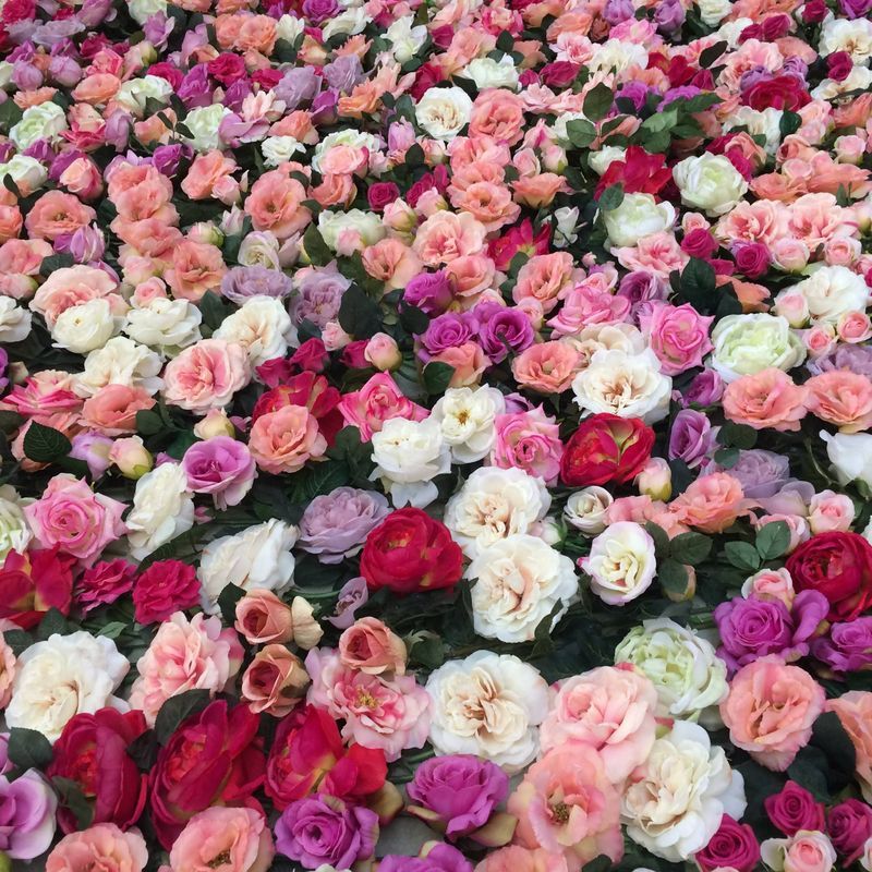 mur végétal de fleurs de roses et de feuillage en naturel ou en artificiel dans le département du Var.