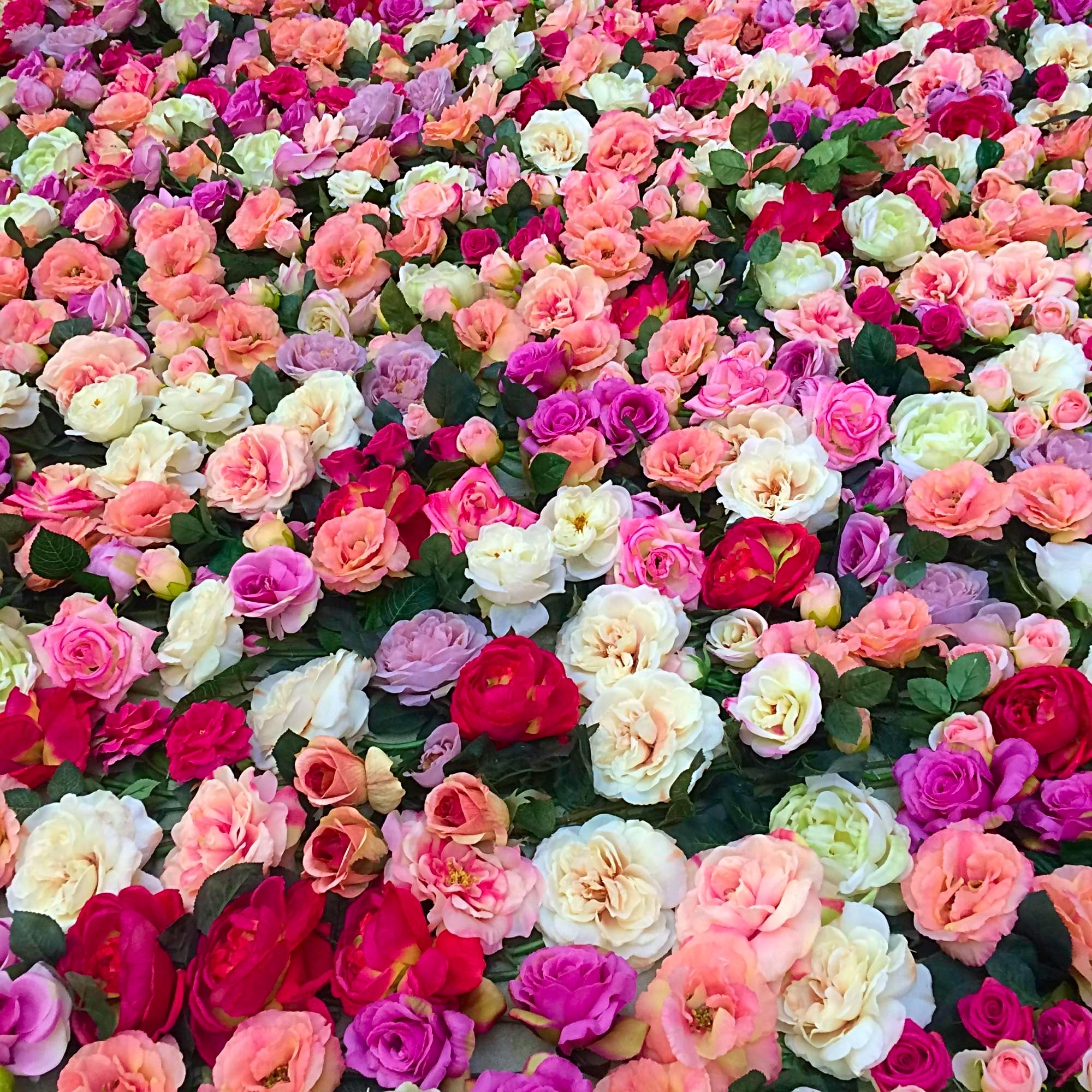 mur de roses naturelles en location pour événement 