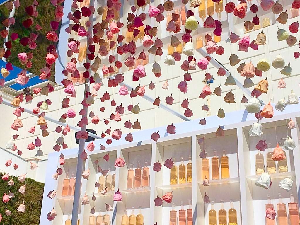 une pluie de roses telle un rideau d'une scène de théâtre illumine les bouteilles du bar 