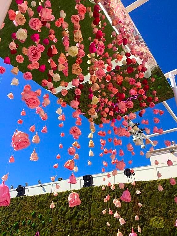 ce plafond de roses naturalisées est composé de plus de 500 roses sur fil transparent