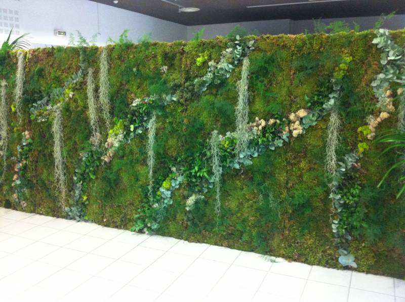Mur végétal naturel et naturalisé pour vos décorations de bureau et vos évènements, séminaire, au Forum de Technopole de l'environnement l'Arbois Méditerranée à Aix en Provence, Marseille  et  PACA