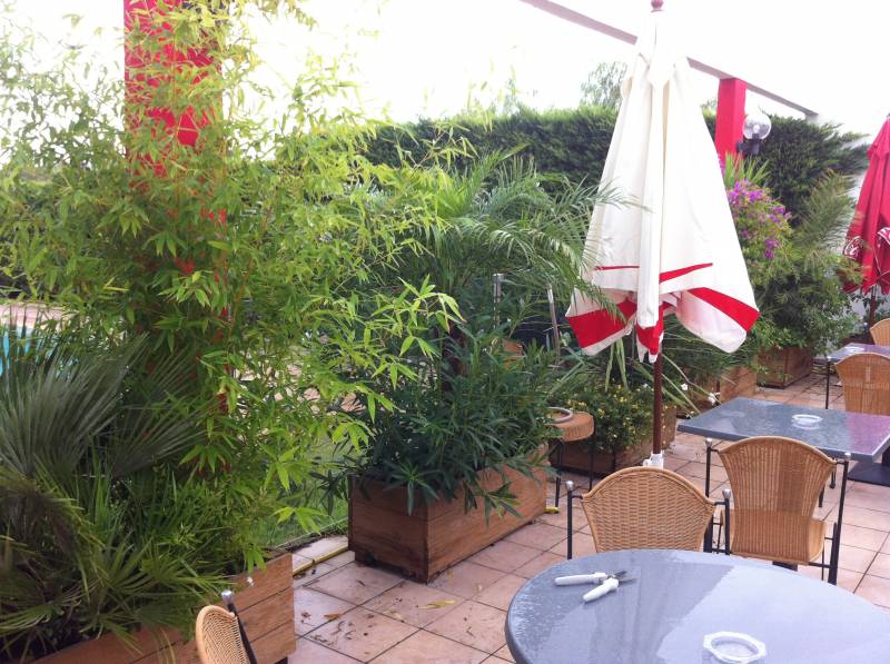 Abonnement de courtes et longues durées de jardinières et bacs pour restaurant hôtel, Toulon