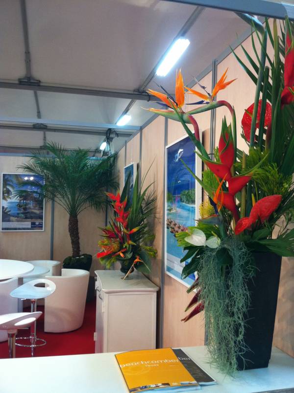 Location de décoration florale pour stand exposition sur Avignon