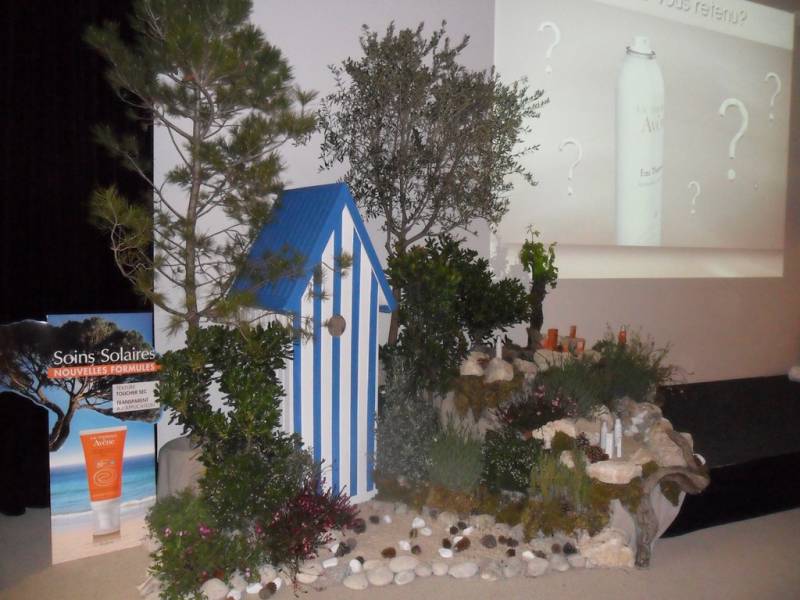 Conception de décor de plantes méditerranéennes en location Marseille