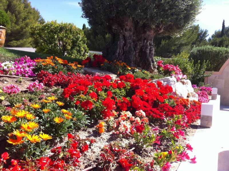 Conception réalisation de massifs de plantes fleuries jardin La Ciosta