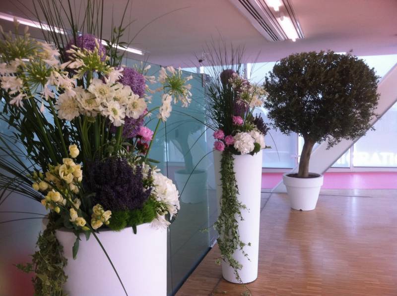Location plantes et décorations florales de salles réceptions événements Marseille