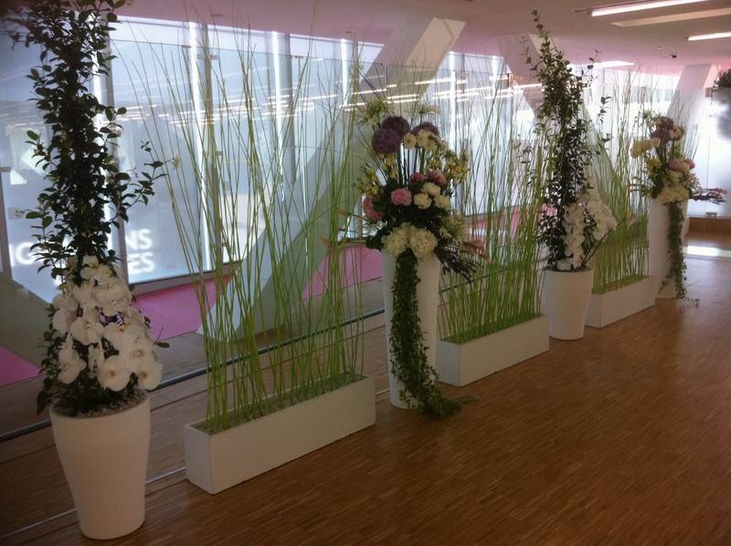 Location plantes et décorations florales de salles réceptions événements Marseille