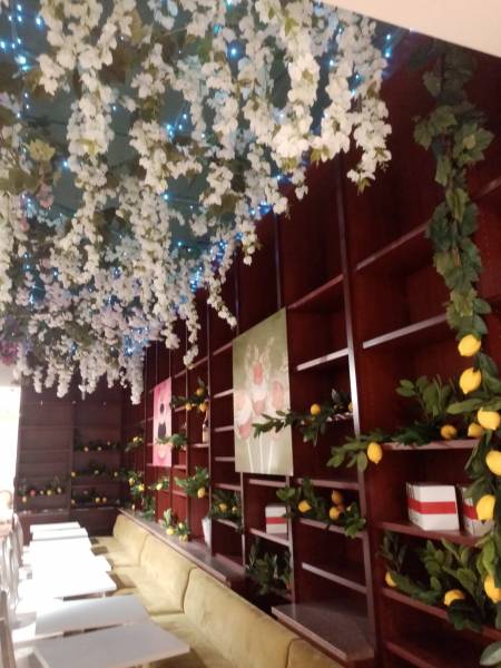Les cascades de fleurs blanches de jasmin inondent l'entrée du restaurant Dalloyau.
