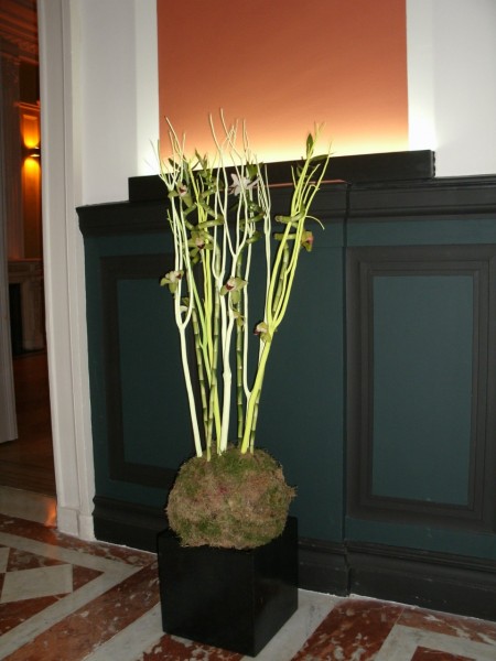 Location de création florale et plante en pot pour conférence, salon, exposition en Avignon