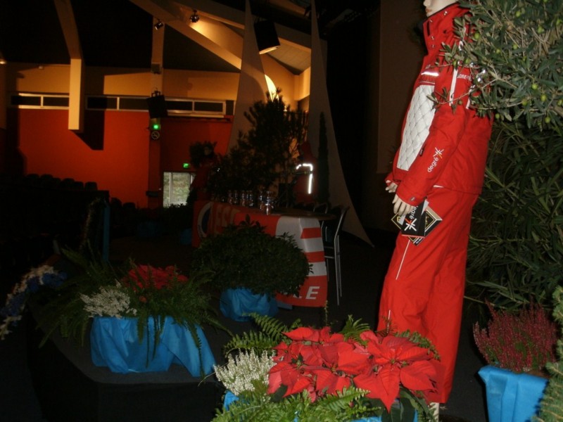 Location de plantes et pots décoratifs de scène, défilé, création de décor à thème