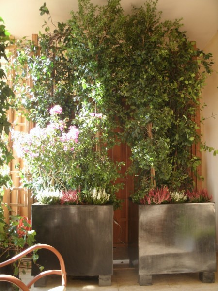 création de jardin en terrasse suspendue paysagiste avignon salon de provence aix en provence paca