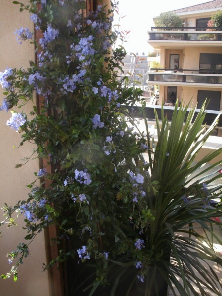 création de jardin en terrasse suspendue paysagiste avignon salon de provence aix en provence paca