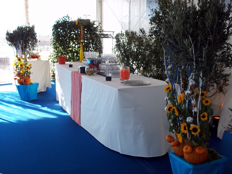 Location de décor scénique floral et plantes pour salon, exposition, inauguration, Vaucluse