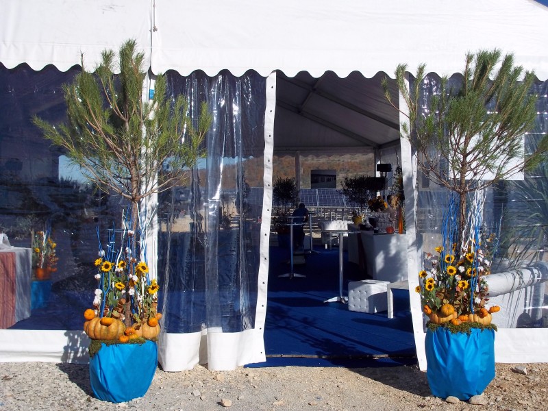 Location de décor scénique floral et plantes pour salon, exposition, inauguration, Vaucluse