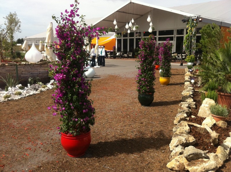 création de scène en location de plantes et fleurs pour évènements gala conventions