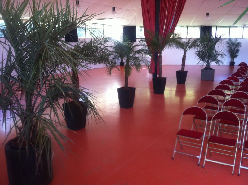 location de plantes et bacs décoratifs  pour évènements, salons, seminaire, soirées, gala, aix en provence marseille avignon et  PACA