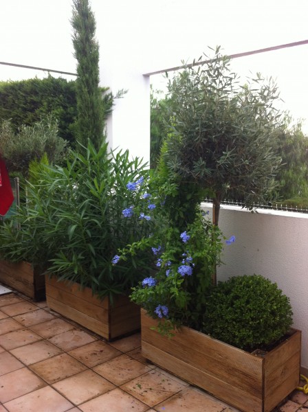 création de jardin en terrasse suspendue paysagiste à Salernes