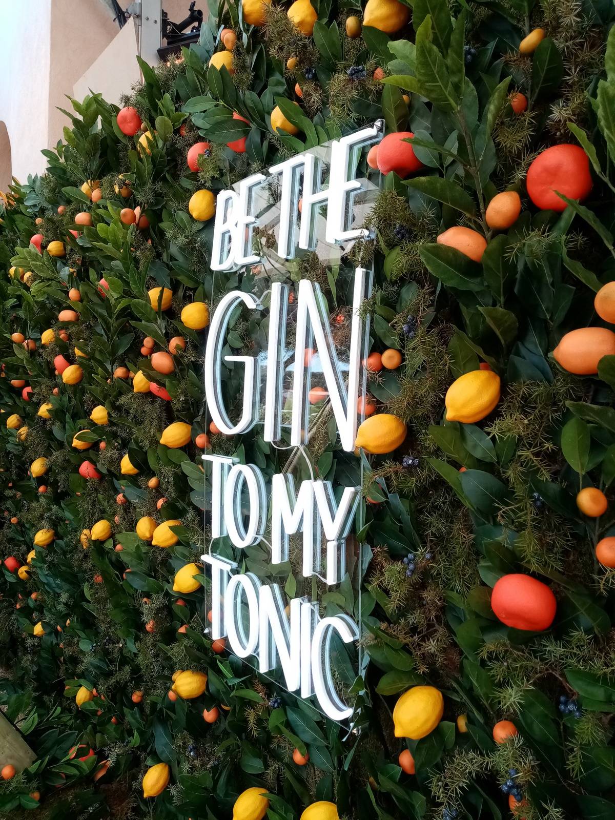 Clorofil events conçoit sur mesure vos murs de végétaux pour vos événements en paca.