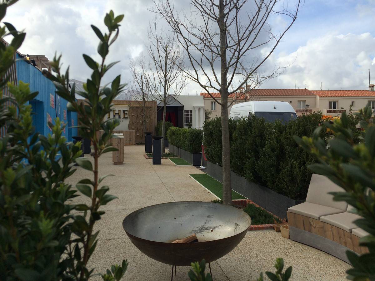 Location de haies en bambou naturel et plantes artificielles pour séparation d'espace Monaco