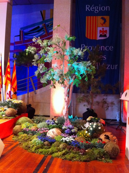 Décoration florale et plantes pour scène et podium pour centres de congrès, halls d'exposition et salles de spectacles Toulon Var