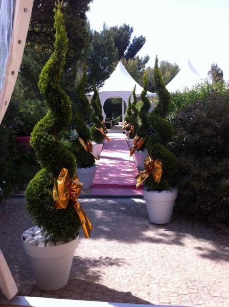 Location de haies en bambou naturel et plantes artificielles pour séparation d'espace Monaco