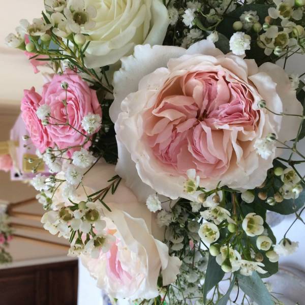 Le coeur de ses roses splendides troublent les invités.