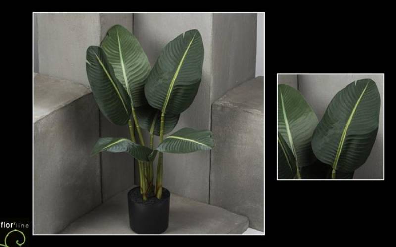 Bananier maurelii artificiel hauteur 80 cm ref 11361 prix  76 €