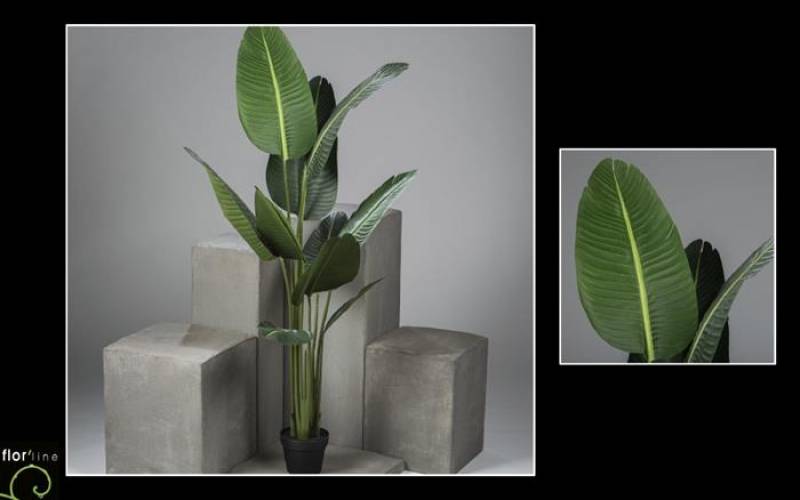 Bananier maurelii artificiel hauteur 160 cm ref 11363 prix  173 €