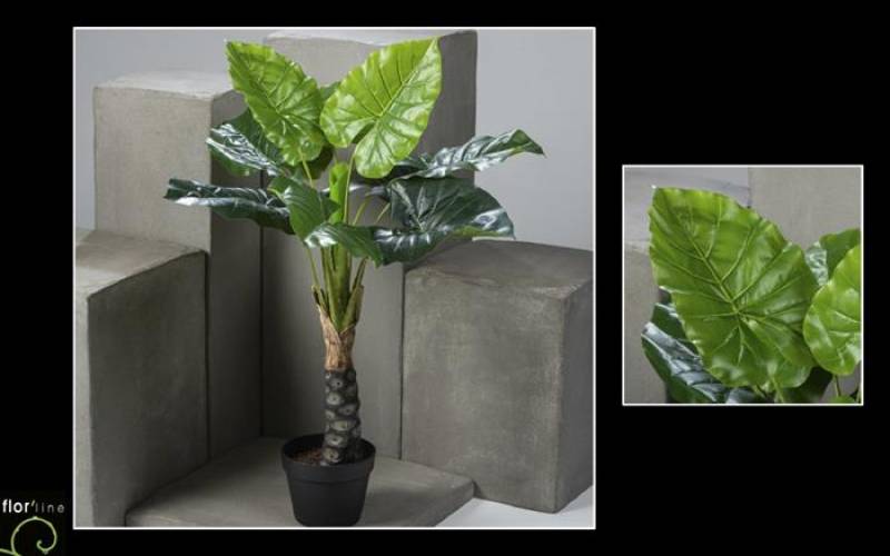 Alocasia artificiel hauteur 90 cm ref 11368 prix  113 €