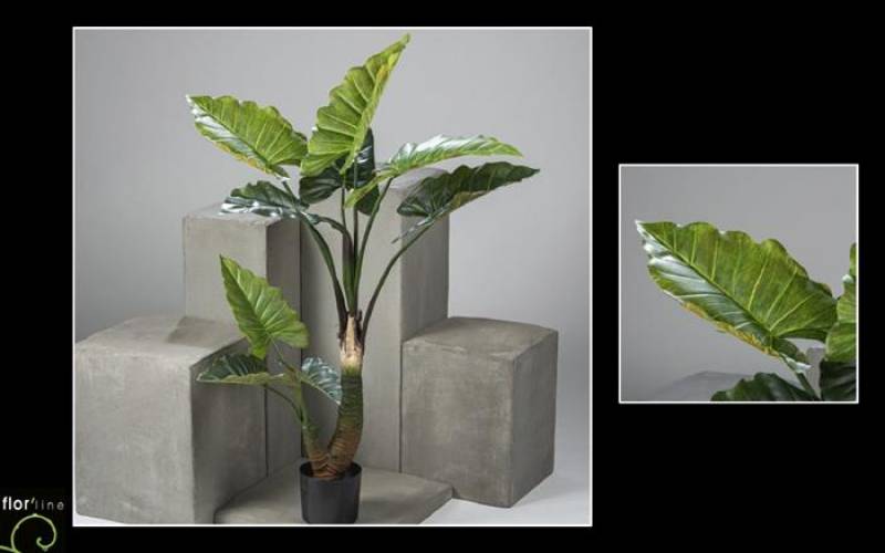 Alocasia artificiel hauteur 130 cm ref 11374 prix  189 €