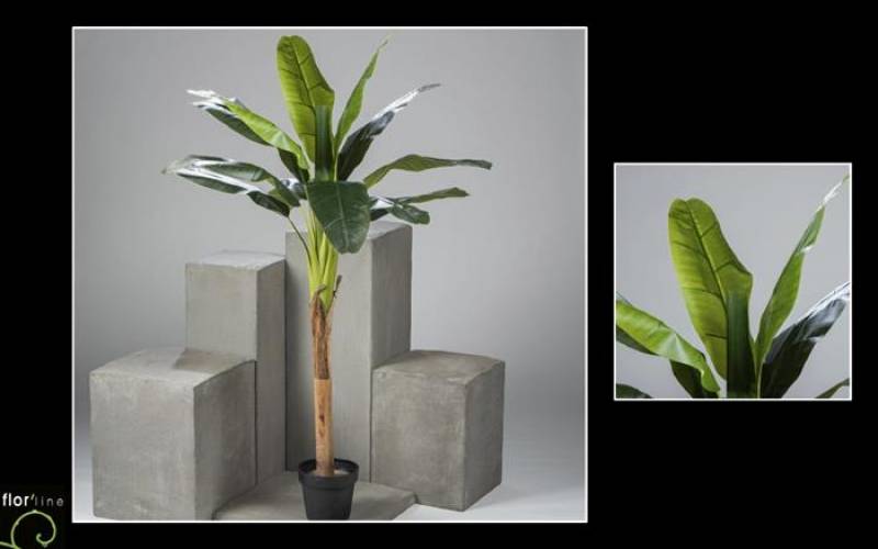 Bananier musa bananarama artificiel hauteur 170 cm ref 11376 prix  162 €