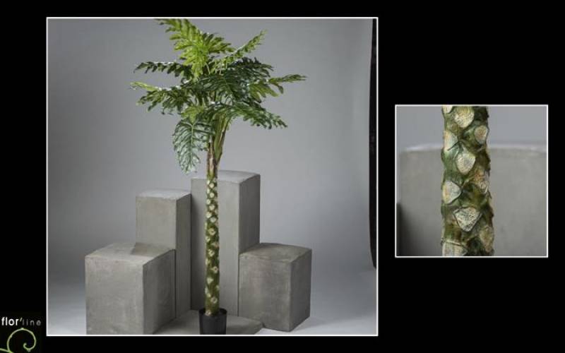 Philodendron selloum artificiel tronc hauteur 170 cm ref 11379 prix  240 €