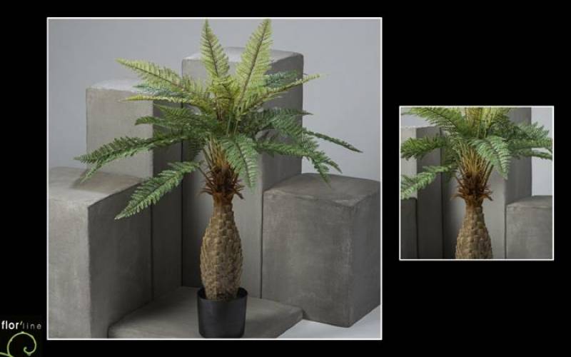 Dicksonia fougère arborescente artificiel hauteur 130 cm prix 120 €