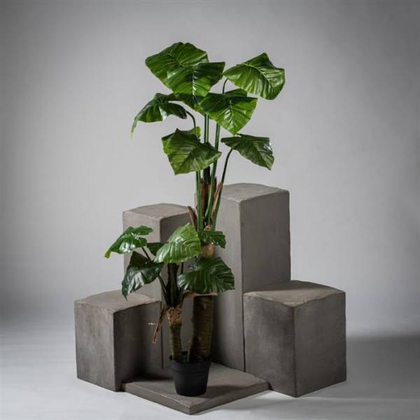 Philodendron selloum artificiel 2 troncs hauteur 170 cm ref 11551 prix  221 €