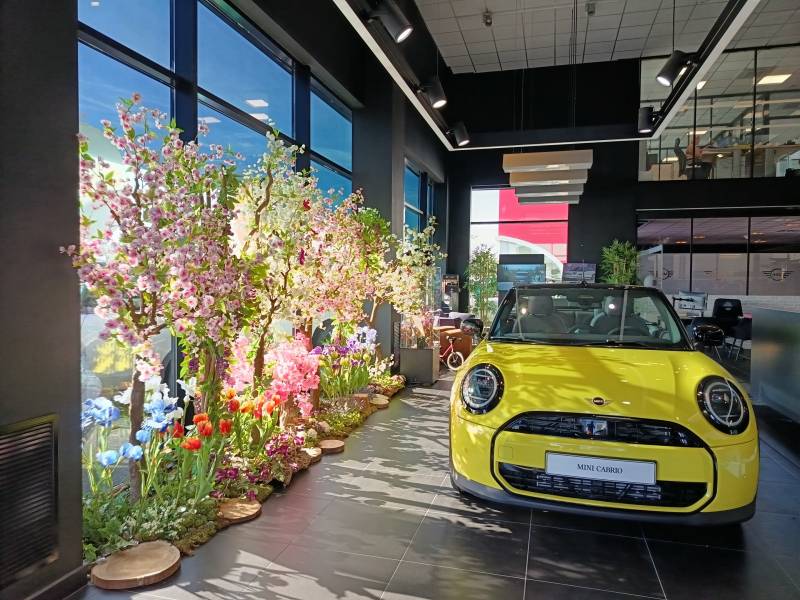 Le décor conçut pour la MINI à Frèjus est choisi dans le thème du printemps.