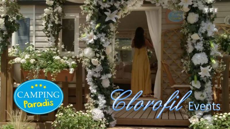 Arche nuptiale pour habitation et jardin