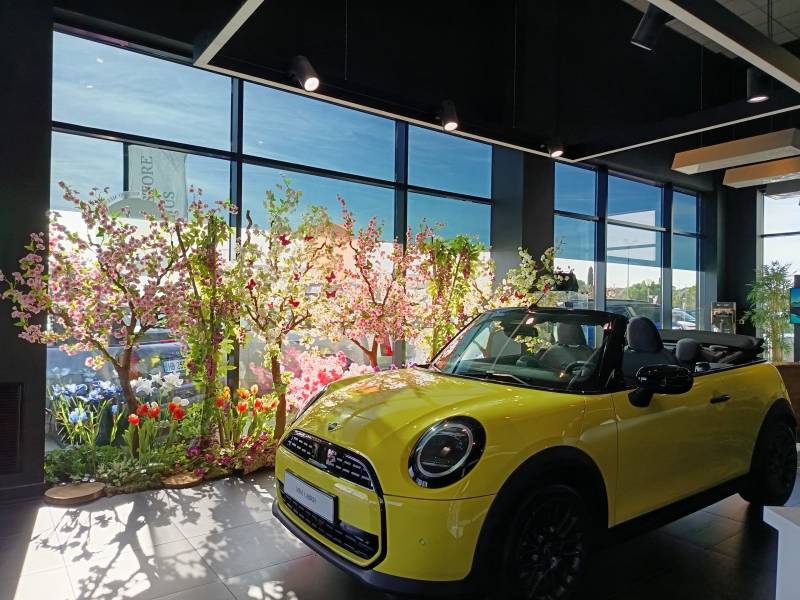 La nouvelle MINI est bien mise en valeur dans ce décor de plantes et de fleurs de printemsp en lcoation à Frèjus.