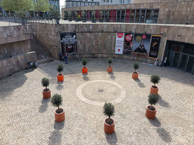 Un bar rond blanc sera installé dès le premier jour du festival au centre du cercle des oliviers.