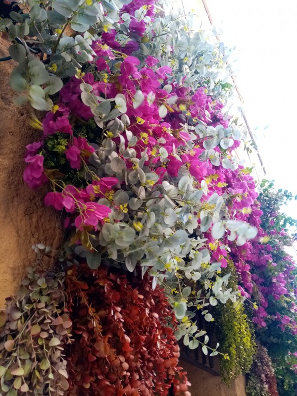 Decoration florale de façade de magasin à Aix en Provence