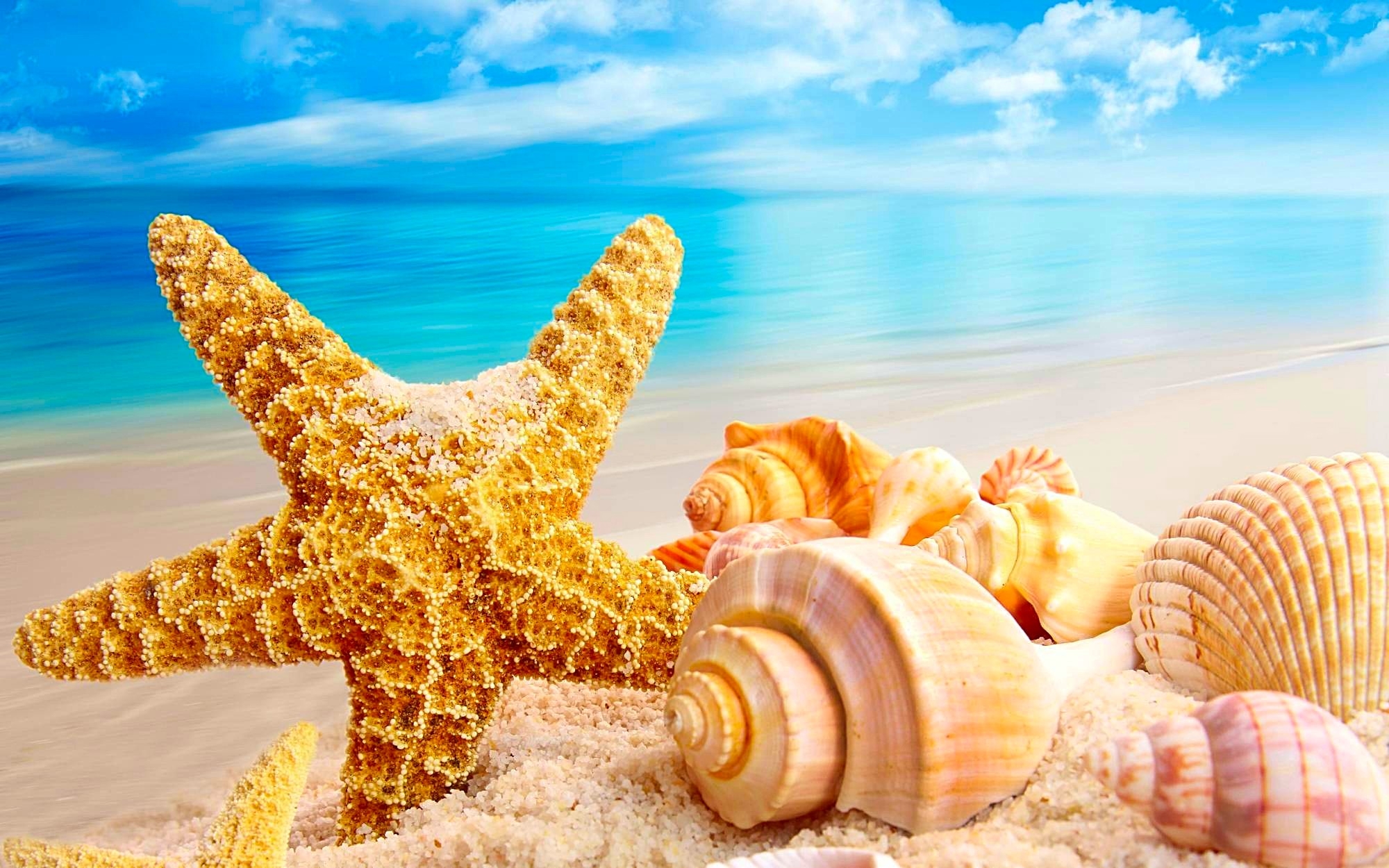 centre de table nuptial à Saint Maximin la Sainte Baume