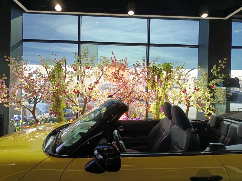 BWM à Frèjus a confié son décor de podium pour la MINI et de vitrine à Clorofil events.