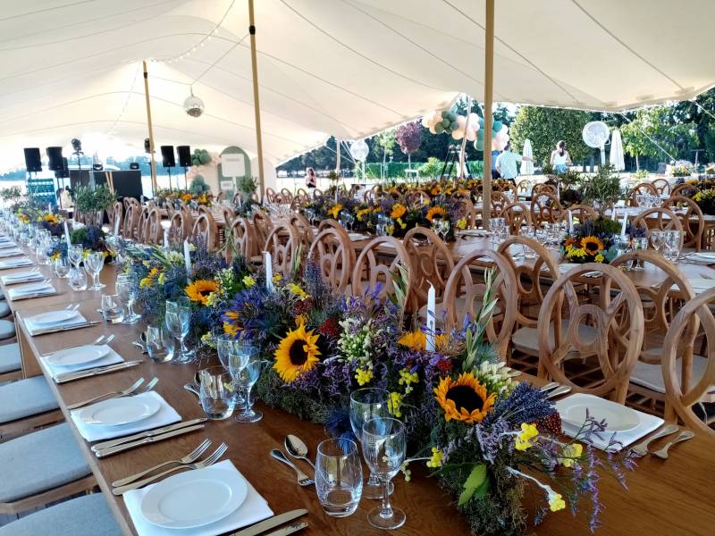 Les agapanthes bleues et blanches étincellent dans les frises florales.