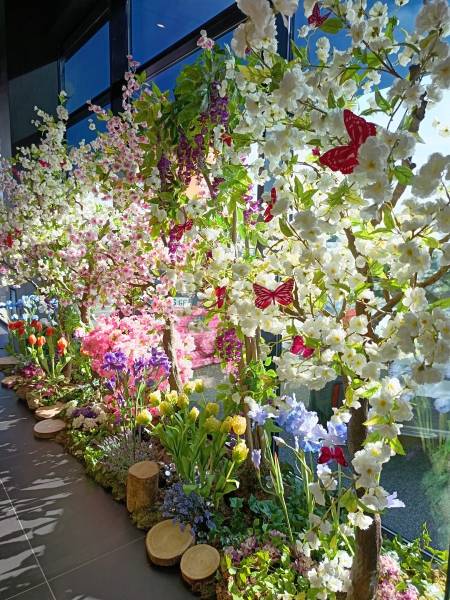 Les arbres en fleurs attirent les nuées de papillons dans cette vitrine en location enchantée.