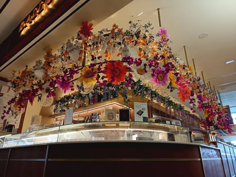 Le restaurant Dalloyau aux Terrasses du Port à Marseille confie sa décoration florale à Clorofil events depuis 3 ans. 