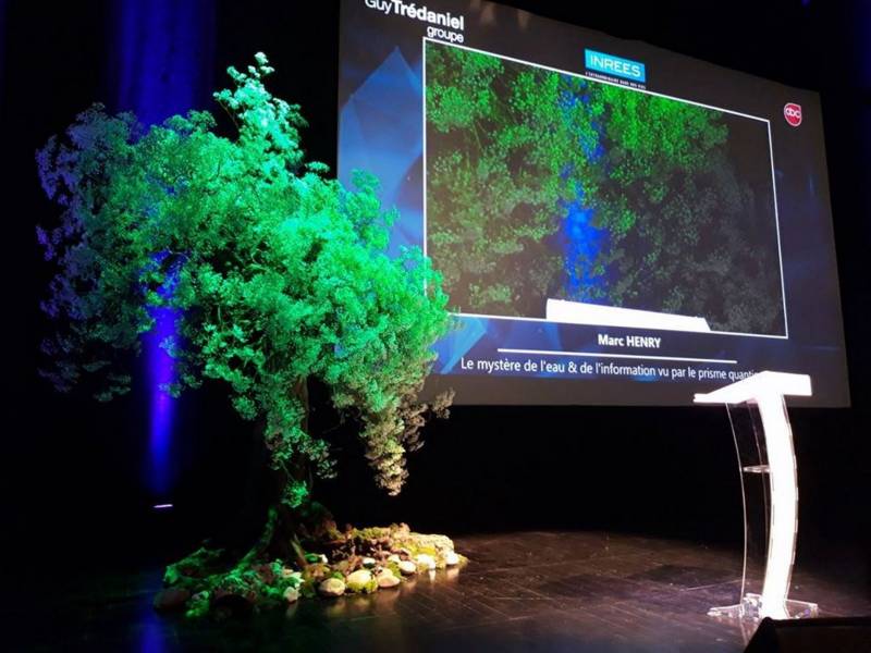 Création d'arbre en fleurs pour scène de conférence et spectacle en paca