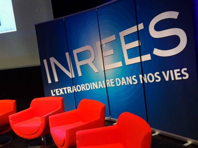 Création d'arbre en fleurs pour scène de conférence et spectacle en paca