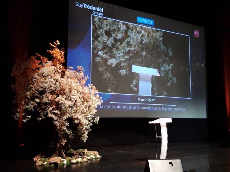 Création d'arbre en fleurs pour scène de conférence et spectacle en paca