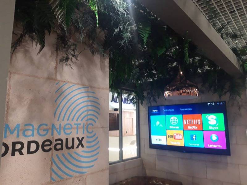 Clorofil events conçoit vos plafons de fougères stabilisées.